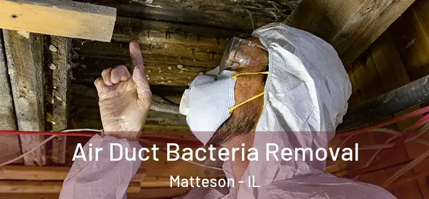  Air Duct Bacteria Removal Matteson - IL
