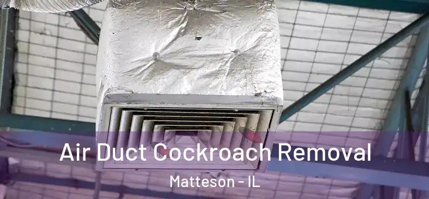  Air Duct Cockroach Removal Matteson - IL