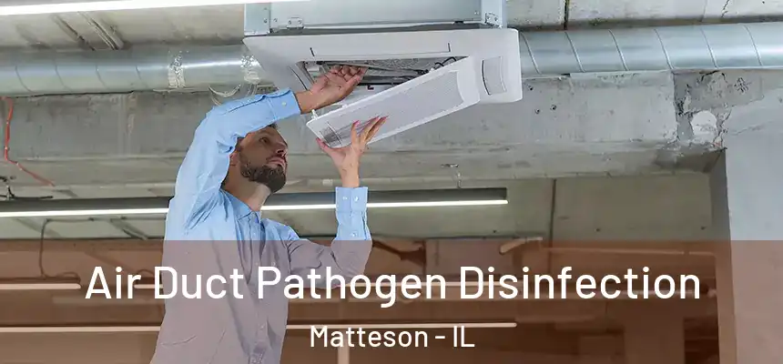  Air Duct Pathogen Disinfection Matteson - IL