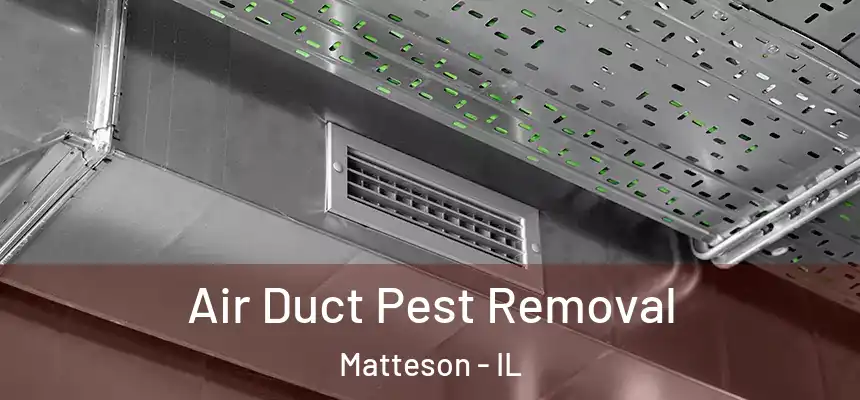  Air Duct Pest Removal Matteson - IL
