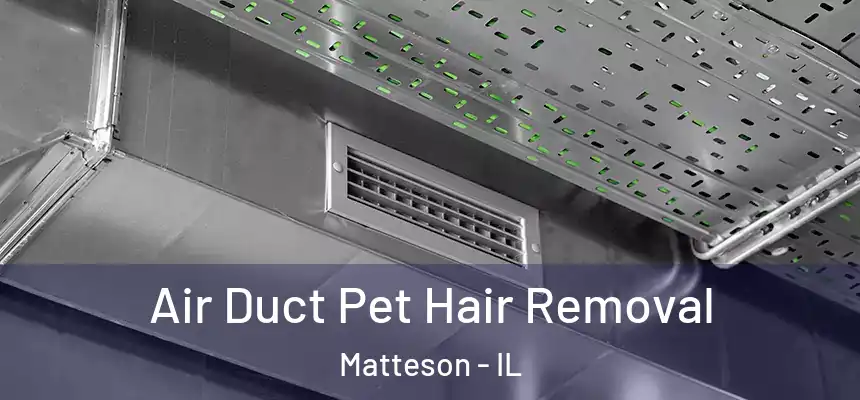 Air Duct Pet Hair Removal Matteson - IL