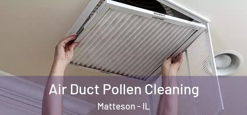 Air Duct Pollen Cleaning Matteson - IL