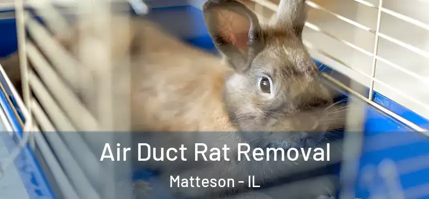  Air Duct Rat Removal Matteson - IL