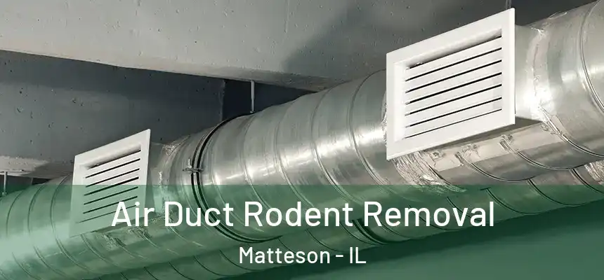  Air Duct Rodent Removal Matteson - IL