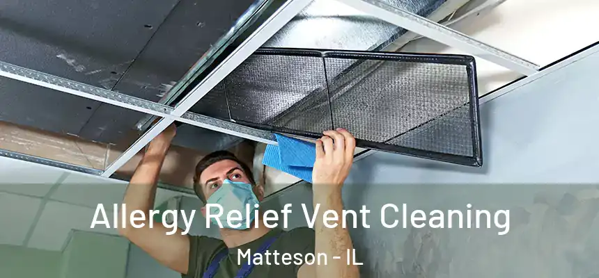  Allergy Relief Vent Cleaning Matteson - IL