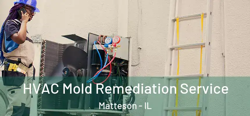  HVAC Mold Remediation Service Matteson - IL