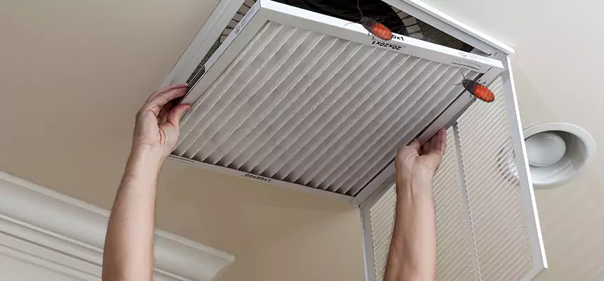 Preventive Cockroach-Proofing for Ducts in Matteson