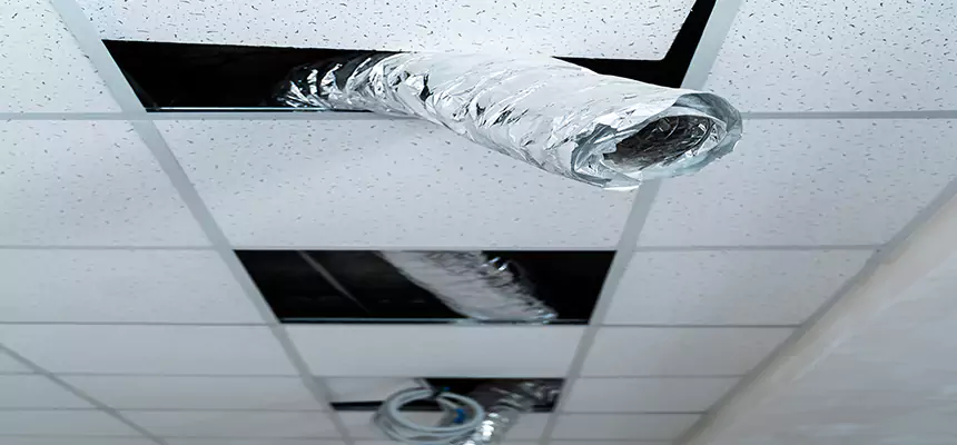 Our Air Duct Pet Hair Removal Services in Matteson, IL