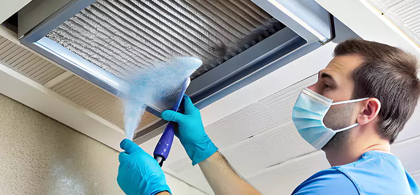 Proactive Dryer Vent & Auxiliary Duct Pollen Cleanup in Matteson, IL