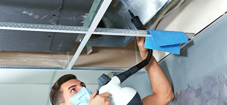 Our Air Duct Rodent Removal Services in Matteson, IL