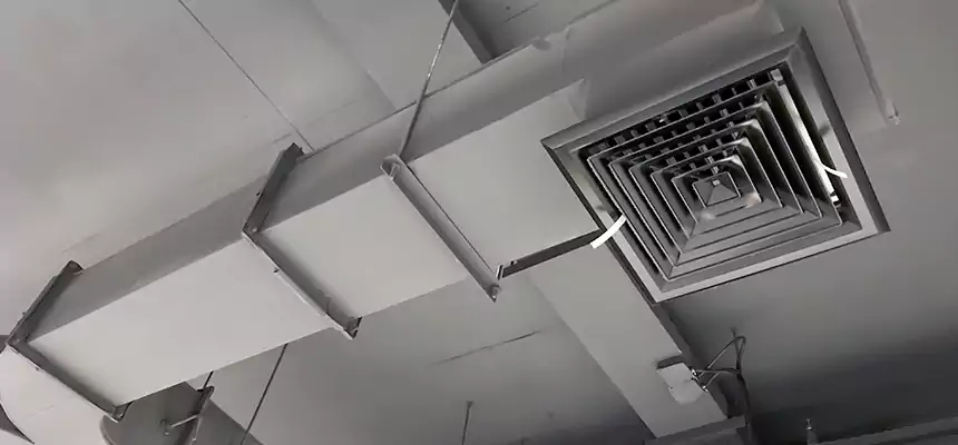 Restorative Allergy Relief Vent Cleaning – Coil, Blower & Housing Detail in Matteson