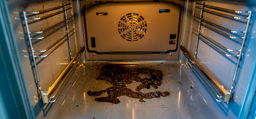 Our Dryer Vent Mold Cleaning Services in Matteson, IL