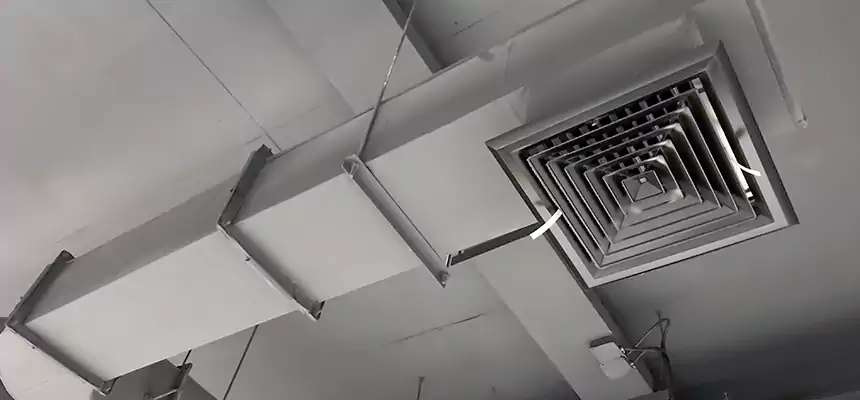 Our Pest Removal From Ducts Services in Matteson, IL