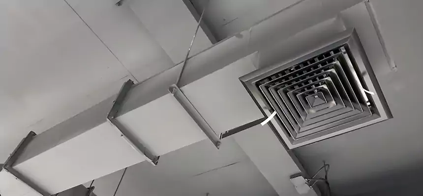 Our Rodent Droppings In Vents Services in Matteson, IL