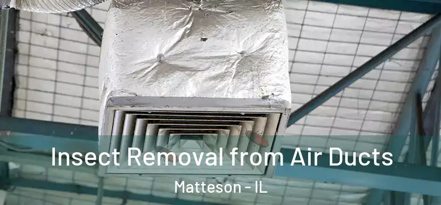  Insect Removal from Air Ducts Matteson - IL