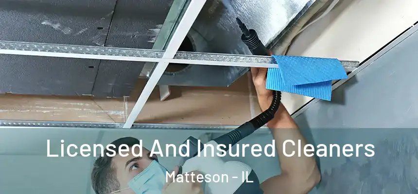  Licensed And Insured Cleaners Matteson - IL