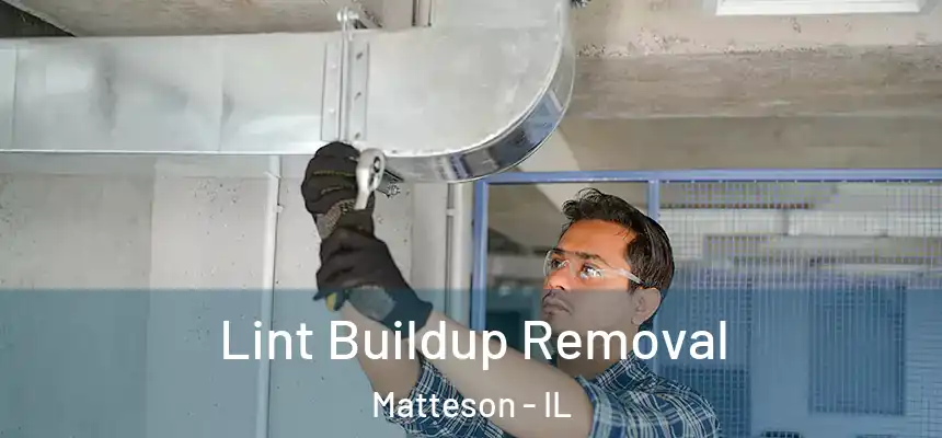  Lint Buildup Removal Matteson - IL