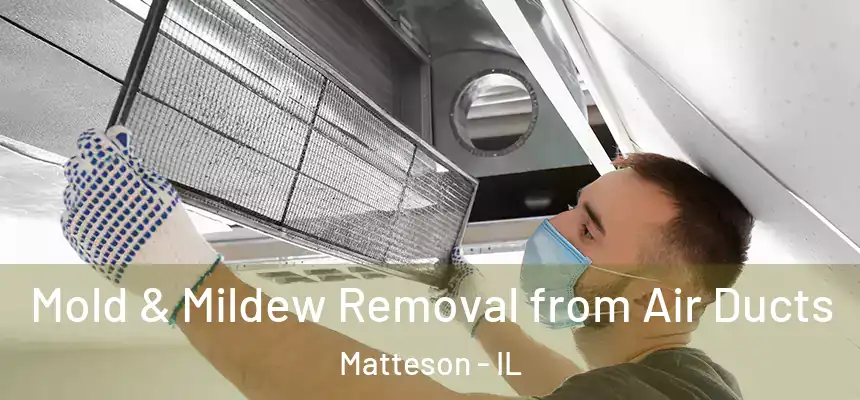  Mold & Mildew Removal from Air Ducts Matteson - IL