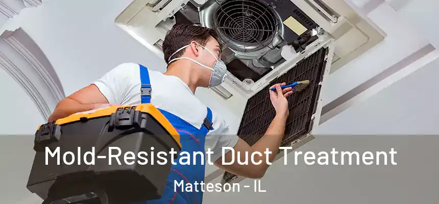  Mold-Resistant Duct Treatment Matteson - IL