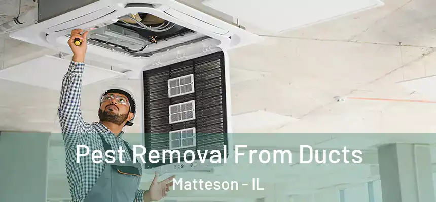  Pest Removal From Ducts Matteson - IL