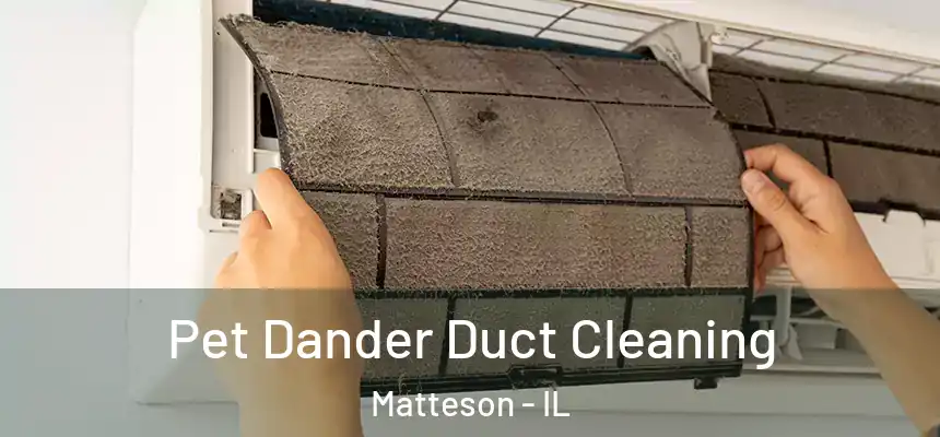  Pet Dander Duct Cleaning Matteson - IL