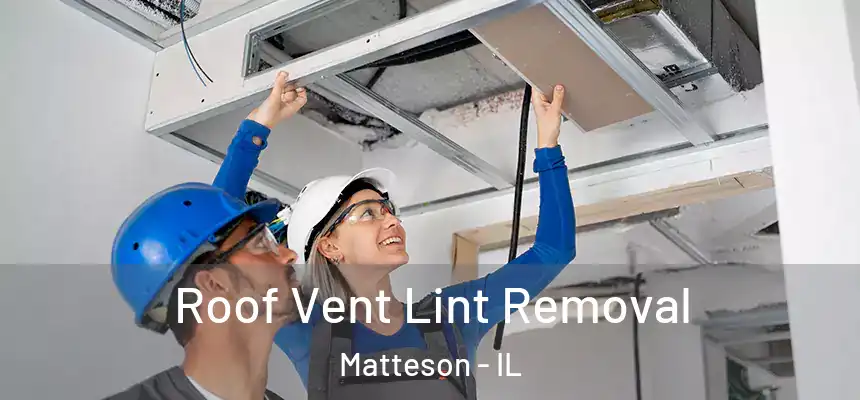  Roof Vent Lint Removal Matteson - IL