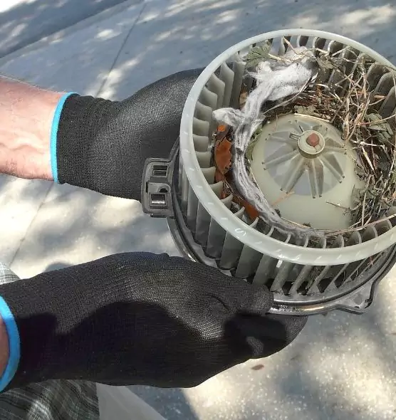 About Air Duct Rat Removal in Matteson, IL