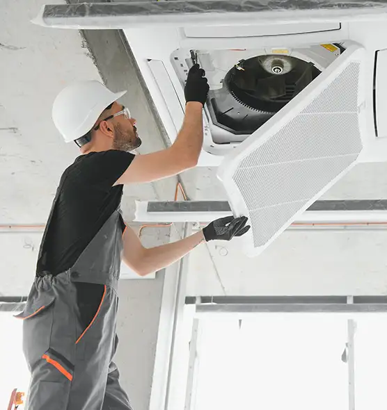 About Air Duct Rodent Removal in Matteson, IL