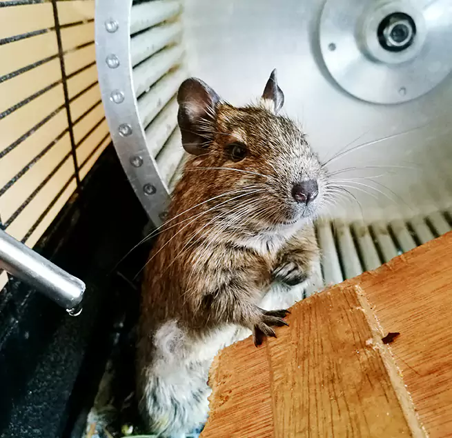 Why Homeowners & Businesses Trust Us Matteson, IL